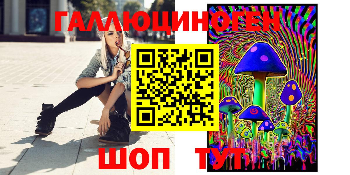 Гусиноозёрск  Галлюциногенные грибы прущие грибы  Вход с VPN 